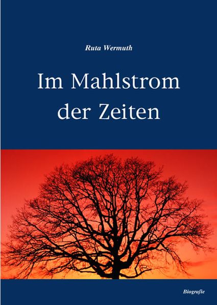 Cover von Im Mahlstrom der Zeiten