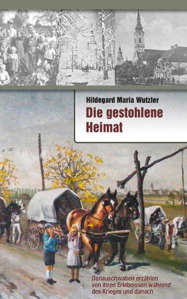 Cover von Die gestohlene Heimat