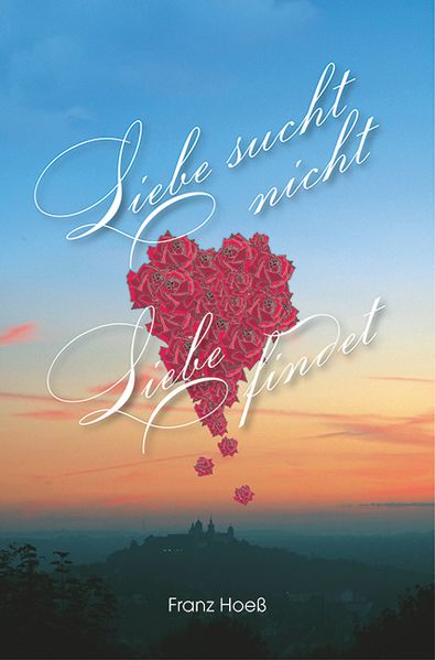 Cover von Liebe sucht nicht, Liebe findet