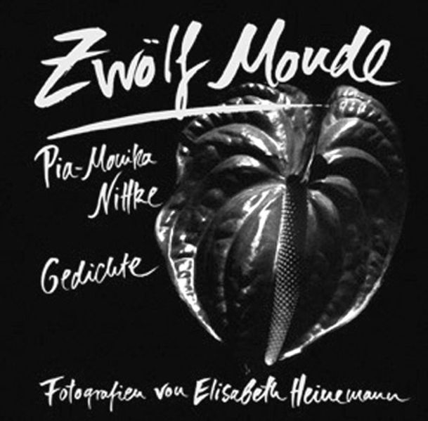 Cover von Zwölf Monde