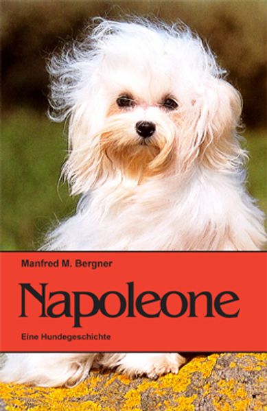 Cover von Napoleone