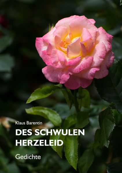 Cover von Des Schwulen Herzeleid