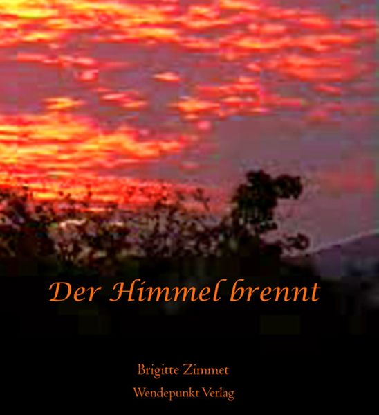 Cover von Der Himmel brennt