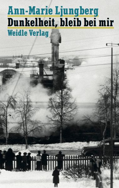 Cover von Dunkelheit, bleib bei mir