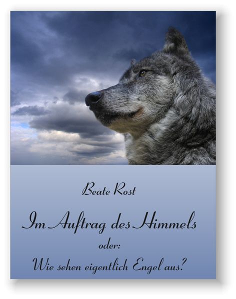 Cover von Im Auftrag des Himmels oder: wie sehen Engel eigentlich aus?