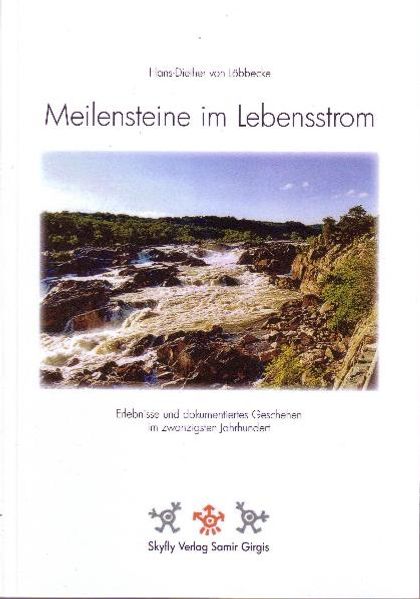 Cover von Meilensteine im Lebensstrom