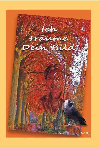 Cover von Ich träume Dein Bild