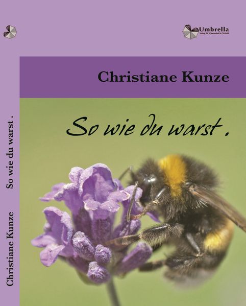 Cover von So wie du warst.