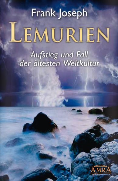 Cover von DIE SEELE IM JENSEITS