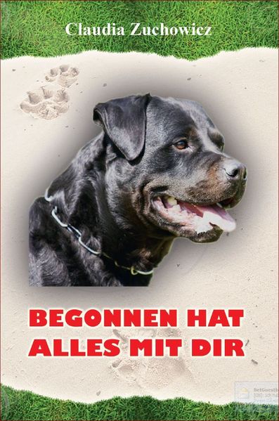 Cover von Begonnen hat alles mit Dir