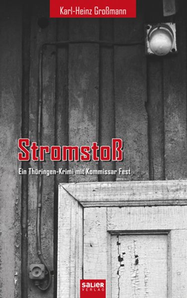 Cover von Stromstoß