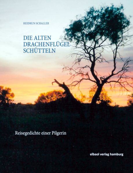 Cover von Die alten Drachenflügel schütteln