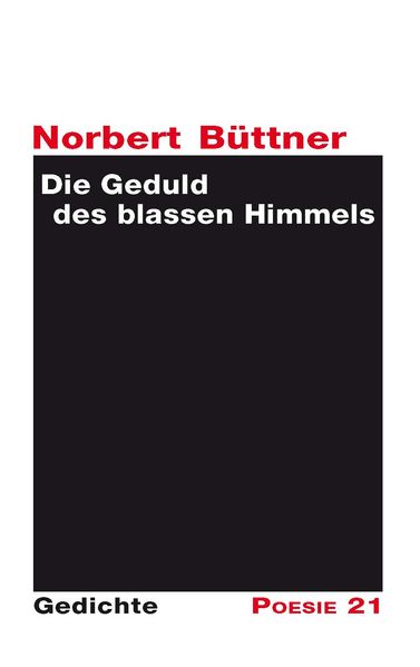 Cover von Die Geduld des blassen Himmels
