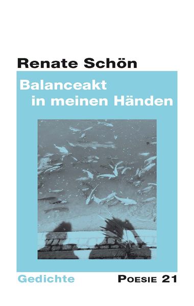 Cover von Balanceakt in meinen Händen