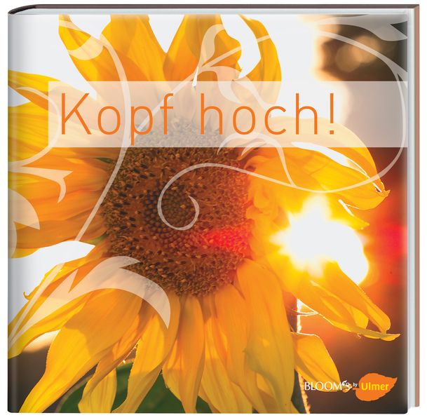 Cover von Kopf hoch!