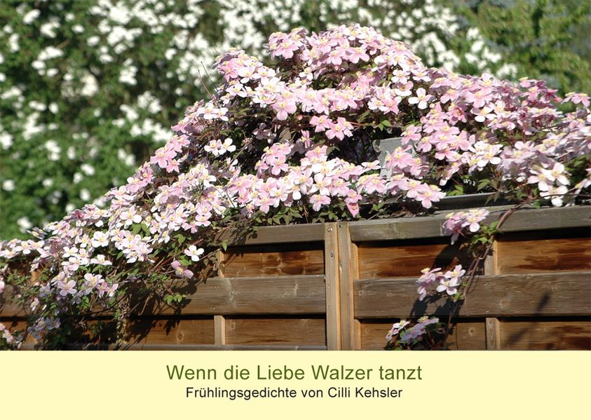 Cover von Wenn die Liebe Walzer tanzt