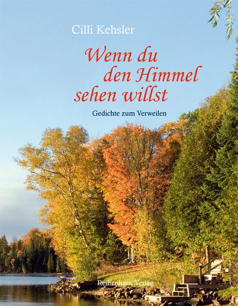 Cover von Wenn du den Himmel sehen willst
