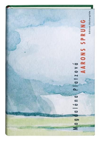 Cover von Aarons Sprung
