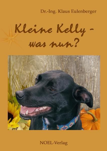 Cover von Kleine Kelly – was nun?
