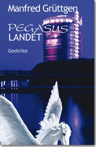 Cover von Pegasus landet