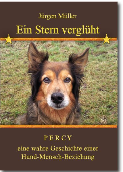 Cover von Ein Stern verglüht