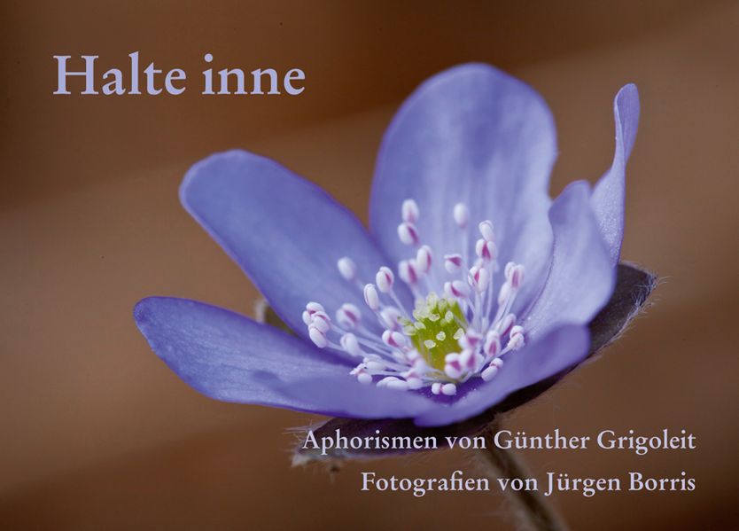 Cover von Halte inne