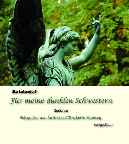 Cover von Für meine dunklen Schwestern
