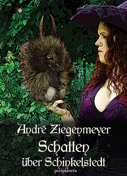 Cover von Schatten über Schinkelstedt
