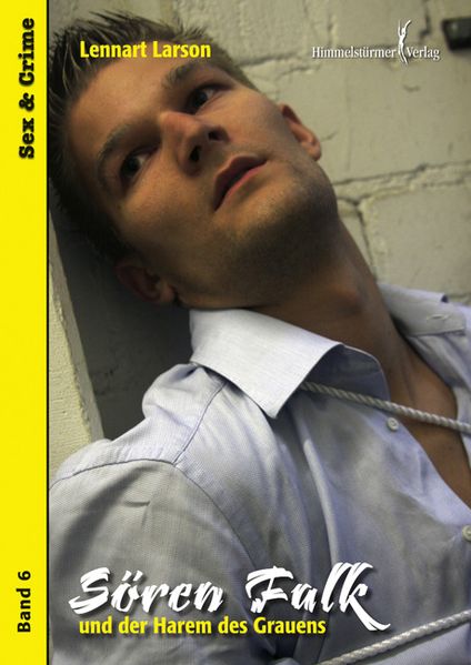 Cover von Sören Falk und der Harem des Grauens