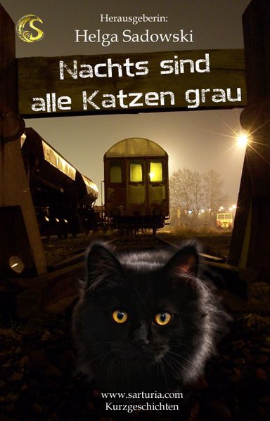 Cover von Nachts sind alle Katzen grau