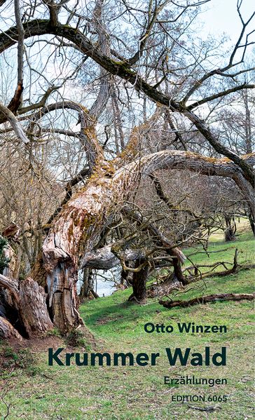 Cover von Krummer Wald