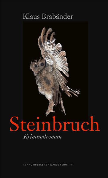 Cover von Steinbruch