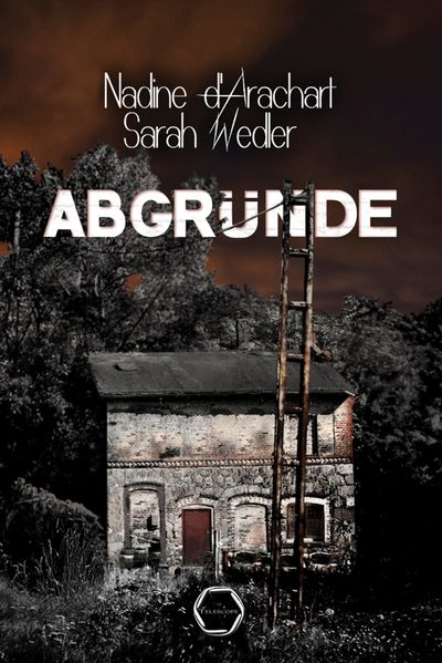 Cover von Abgründe