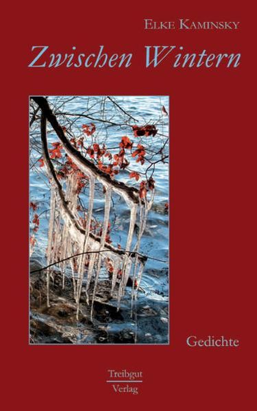 Cover von Zwischen Wintern