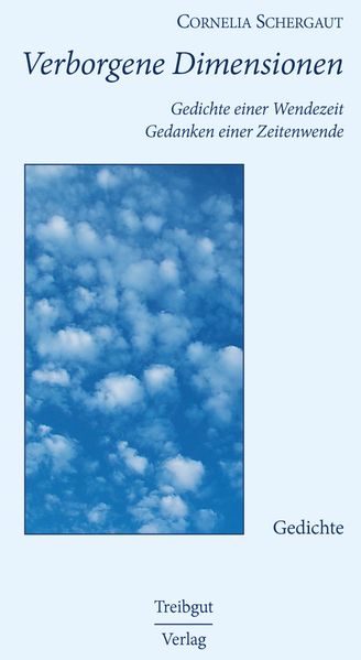 Cover von Verborgene Dimensionen