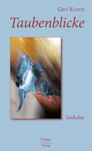 Cover von Taubenblicke