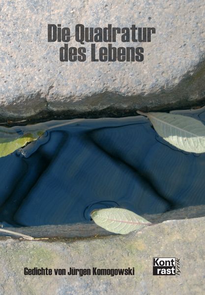 Cover von Die Quadratur des Lebens