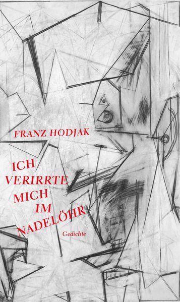 Cover von Ich verirrte mich im Nadelöhr