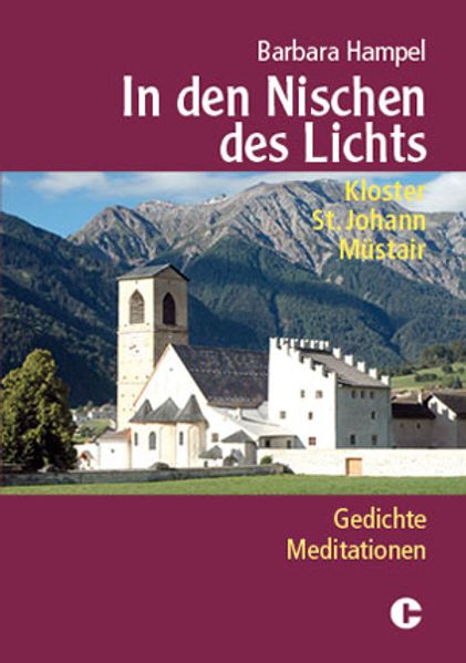 Cover von In den Nischen des Lichts