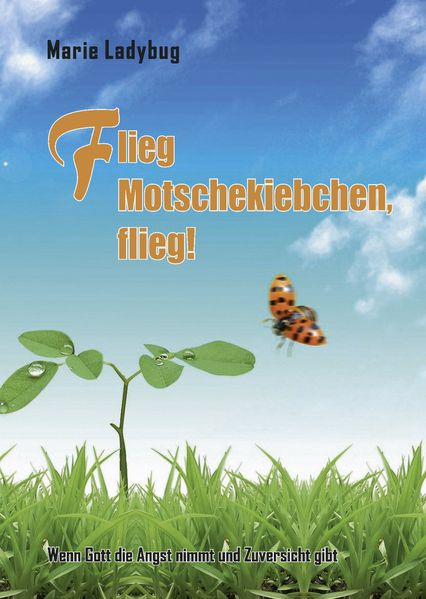 Cover von Flieg Motschekiebchen, flieg!