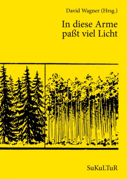 Cover von In diese Arme paßt viel Licht