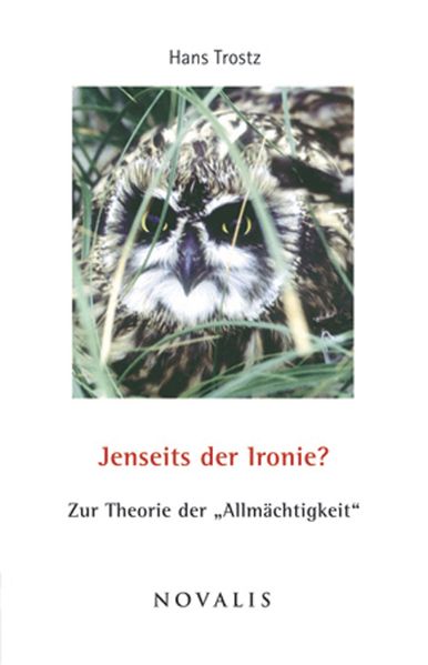 Cover von Jenseits der Ironie?