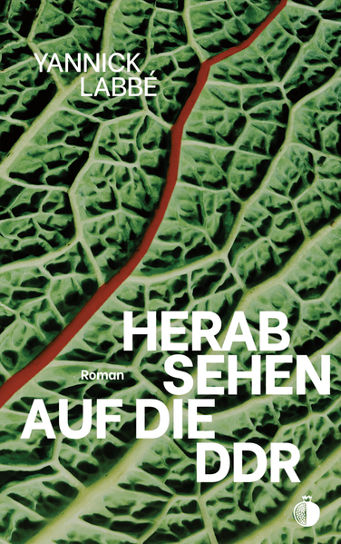 Cover von Herabsehen auf die DDR