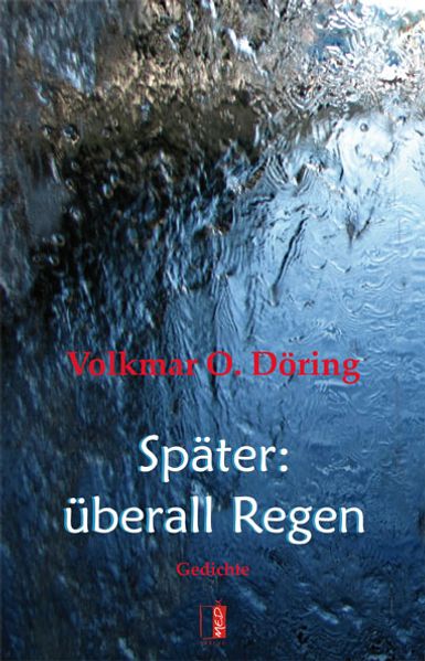 Cover von Später: überall Regen