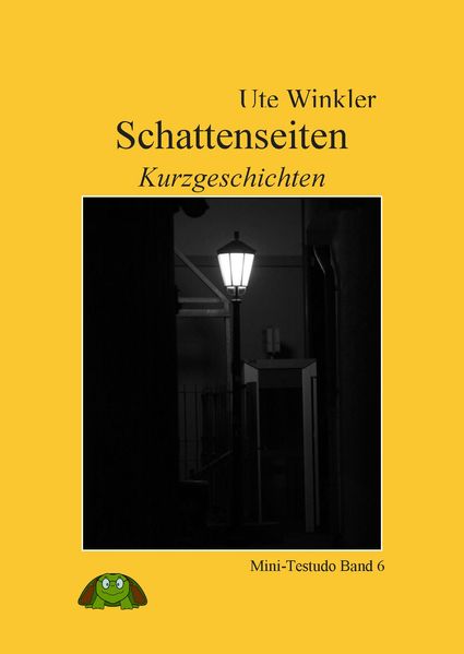Cover von Schattenseiten