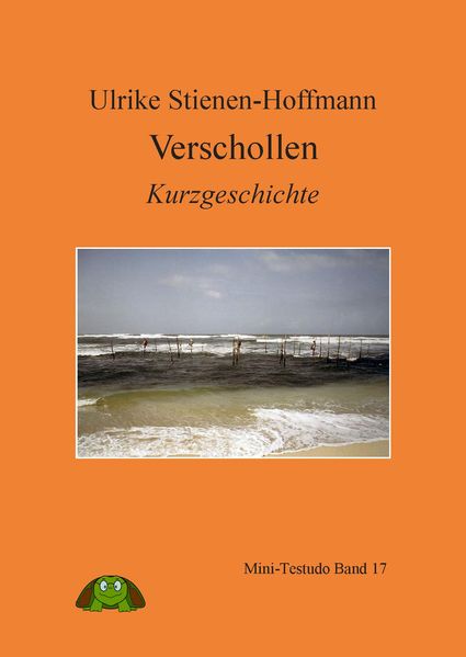 Cover von Verschollen