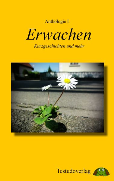 Cover von Anthologie I – Erwachen