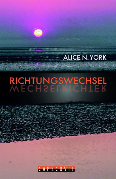 Cover von Richtungswechsel