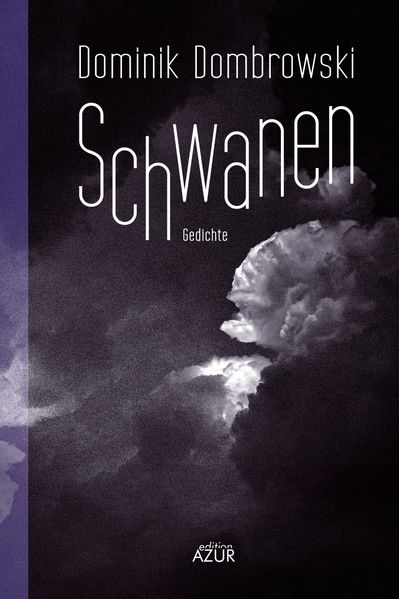 Cover von Schwanen – Gedichte