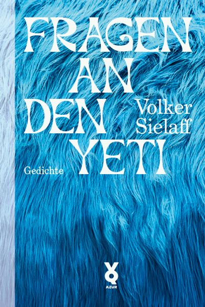 Cover von Fragen an den Yeti
